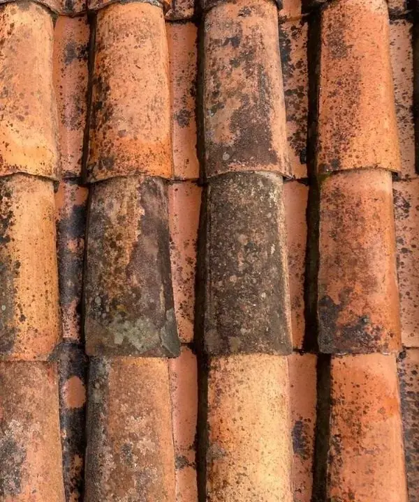 Telhado com musgo antes da limpeza profissional na Madeira