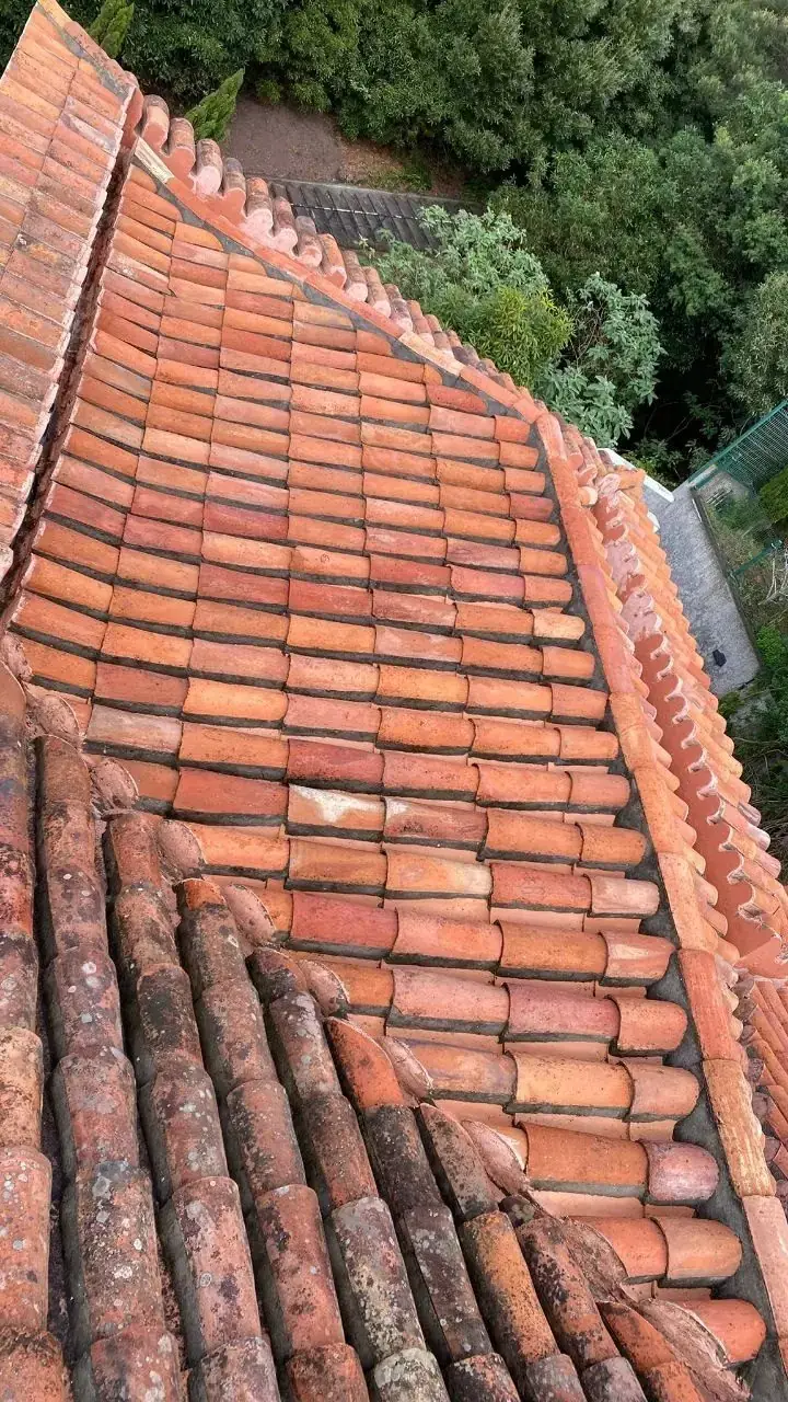 Telhas cerâmicas limpas e sem musgo — frequência recomendada de limpeza de telhado na Madeira