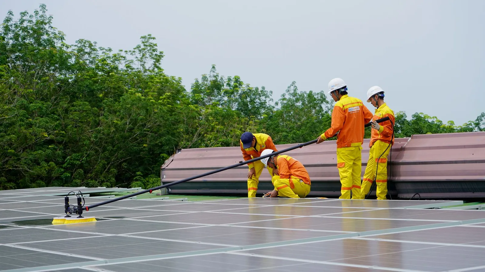 Equipa especializada a limpar painéis fotovoltaicos com escova própria